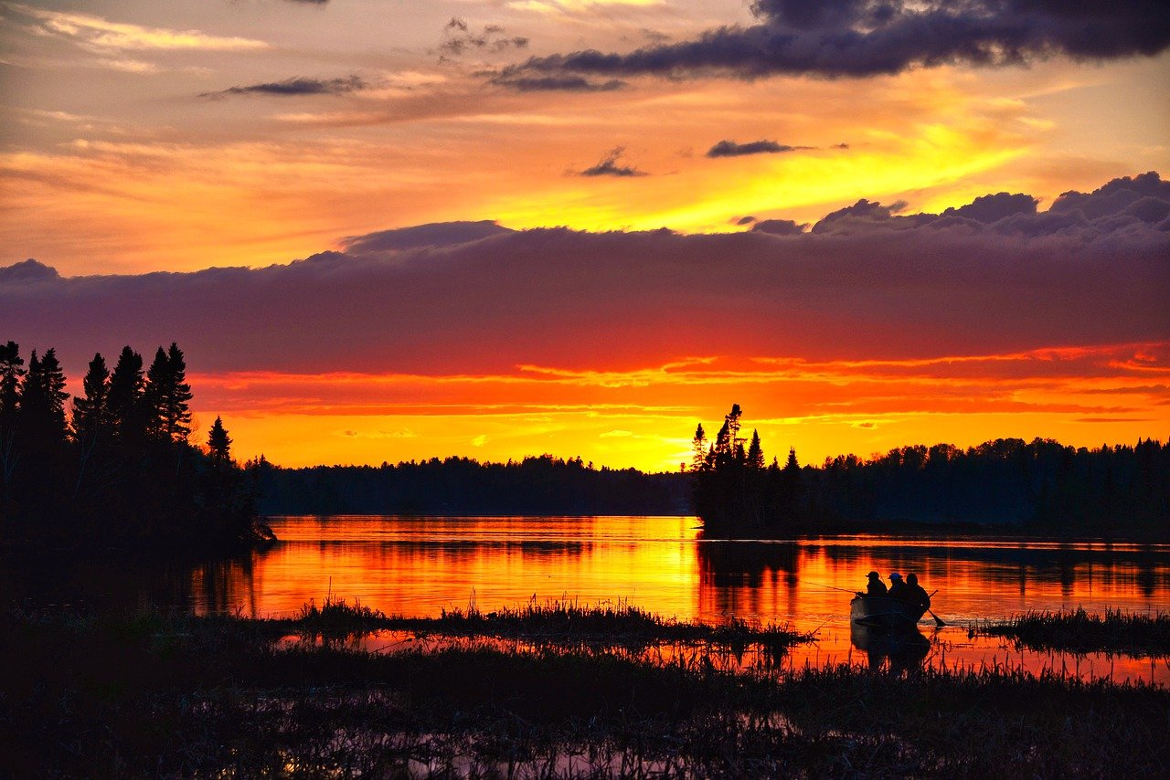 Biodiversity on the Edge: What Can We Do to Protect It?